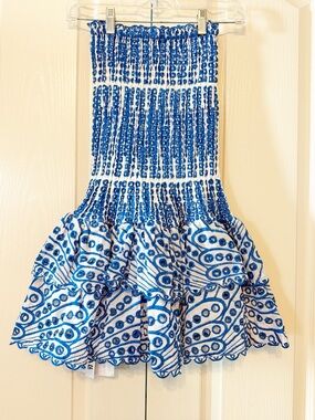 Catchall Rosemary Blue and White Ruffled Mini Dress Size Small NWT